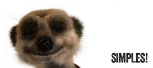 Simples-300x133.jpg